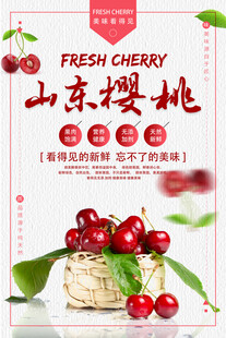 樱桃海报