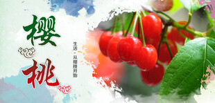 樱桃海报
