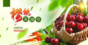 樱桃海报
