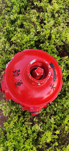 红色消防栓置于翠绿植物间