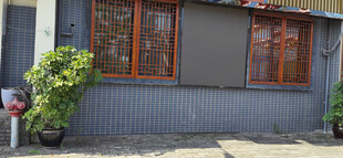 灰墙小屋外的绿植与窗户