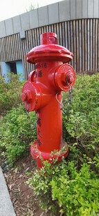 鲜艳红消防栓立于绿植中