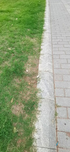 路边草地与砖石小径