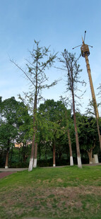 户外木质高杆景观