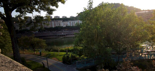 黄昏下的绿树与远处建筑