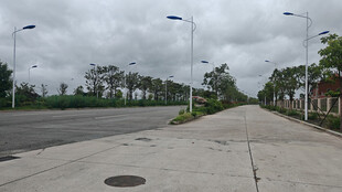 空旷道路旁的路灯与绿植