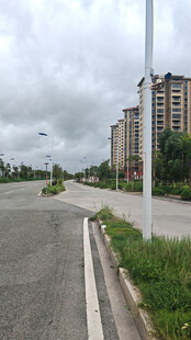 空旷道路旁的高楼景观