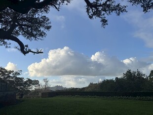 蓝天白云下的绿野风光