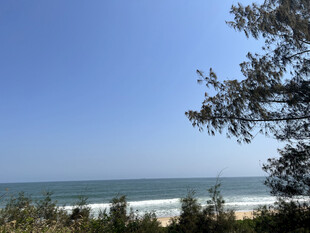 海边景致 绿树蓝天与碧海