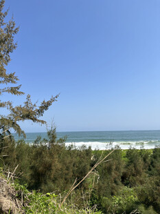 海边山林景致