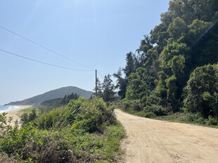 山间土路 自然清新景致