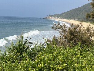 海滨美景 绿植点缀海岸线