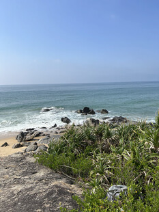 海边美景 岩石绿植与海浪