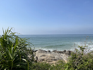 海边绿植与蔚蓝大海景观