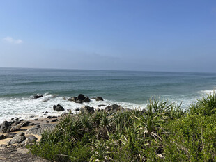 海边风光 绿植与海浪交织