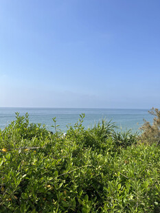 海边绿植与广阔蓝天美景
