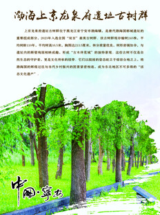 宁安市文化游系列上京龙泉府古树