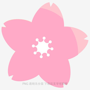 粉色樱花花朵图案