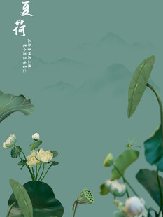 夏日荷韵