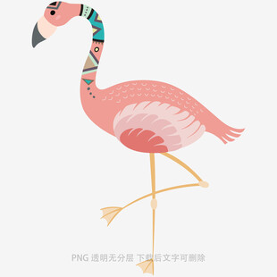 粉色火烈鸟插画