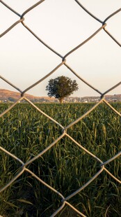 透过围栏看葱郁田野