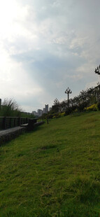 绿草如茵的户外风景