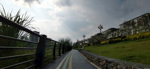 河岸旁的宁静步道景致