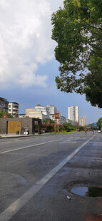 城市道路旁的绿树与建筑