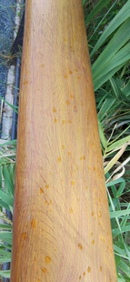 河岸木质护栏特写