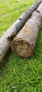 草地上的几根圆木