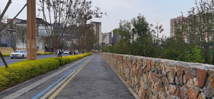 城市中宁静的石砌道路景观