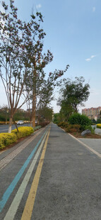 宽阔整洁的户外道路场景