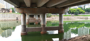 桥下绿水倒影风景