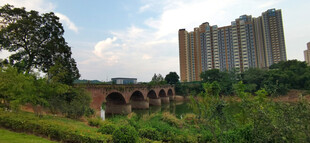 城郊桥与高楼相映