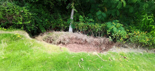 坍塌的草地与树木