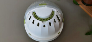 白色镂空宠物容器