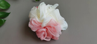 粉白渐变沐浴花特写