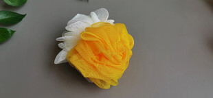 黄白双色沐浴花