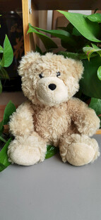 两只可爱毛绒小熊摆件