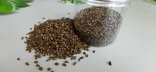 罐装荞麦种子展示