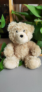 可爱毛绒小熊玩偶