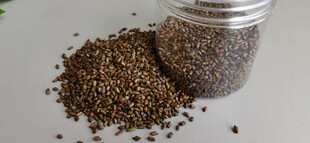 罐装决明子与散落的决明子