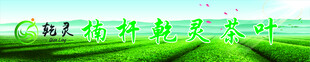 茶业