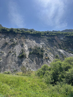 山坡绿植与岩石景观