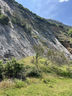 山坡草地自然景观图