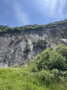 山坡绿植与岩石景观