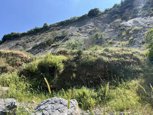 山坡绿植与岩石景观