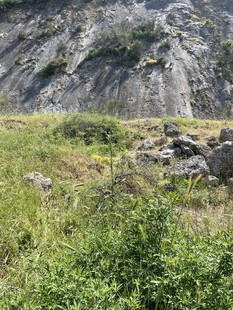 山间草地与岩石景观