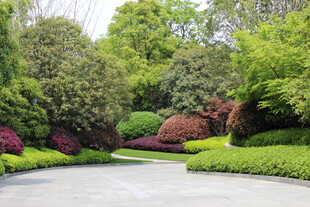 园林景观中的绿植美景