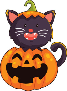 黑猫趴南瓜